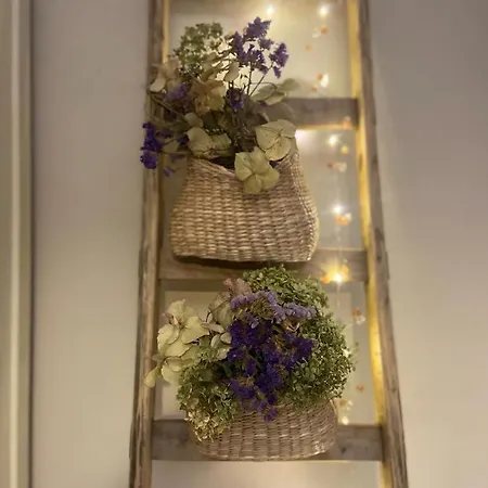 Il Sogno * 斯佩洛