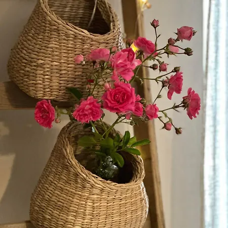 Il Sogno *