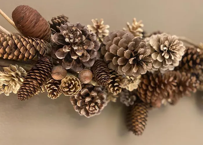 Il Sogno Apartamento