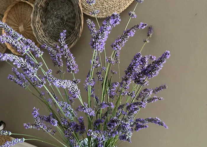 Apartamento Il Sogno *