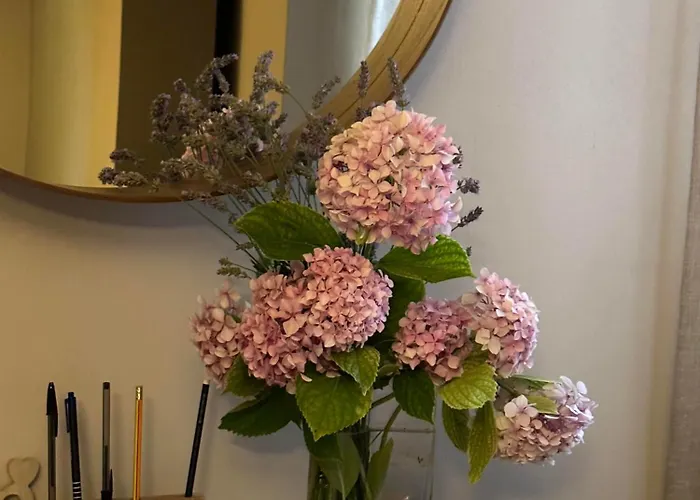 Il Sogno Appartement Spello